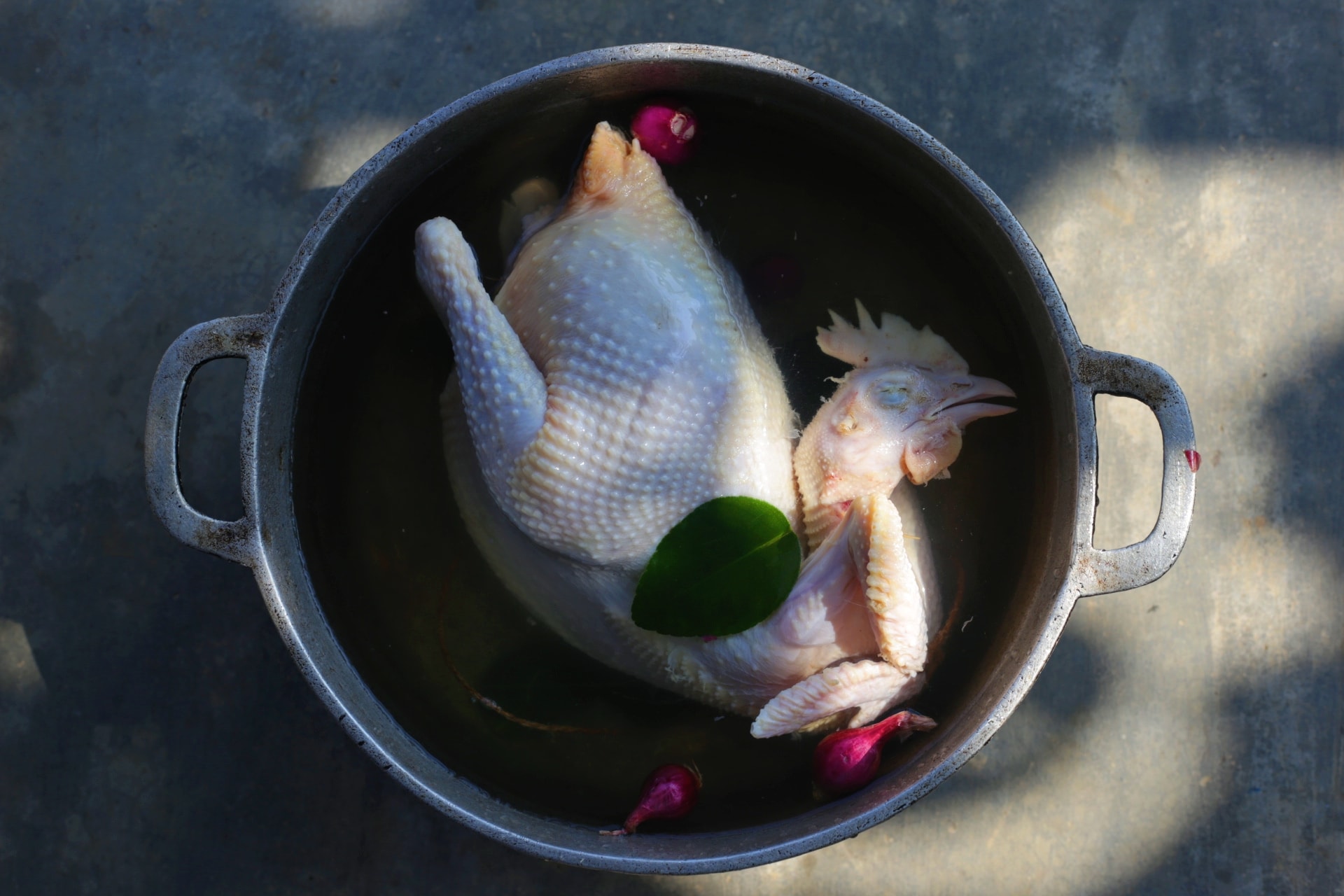 4 sai lầm khi luộc gà mà bạn nên tránh để gà luôn ngọt thịt, mềm thơm và không bị nát - Ảnh 1