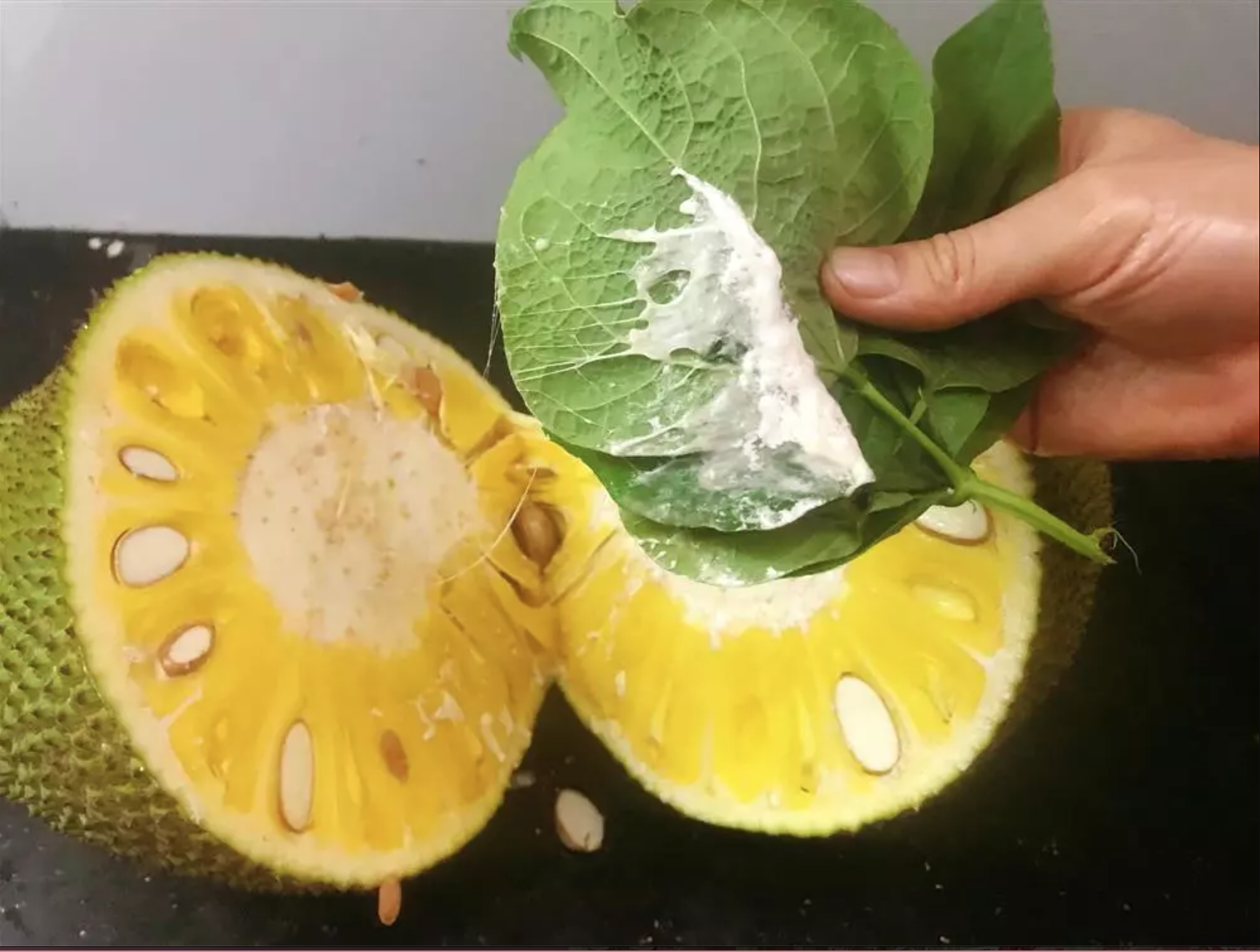 Mẹo bổ mít không bị dính nhựa, đơn giản, dễ làm và được lòng team mê mít - Ảnh 1