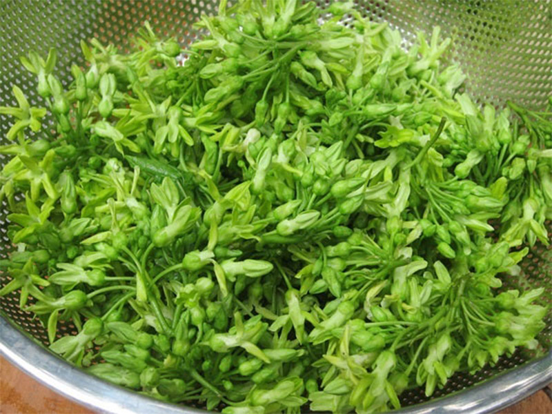 Cách làm bông thiên lý xào thịt bò, giòn ngon, bổ dưỡng cho những ngày hè oi ả - Ảnh 1