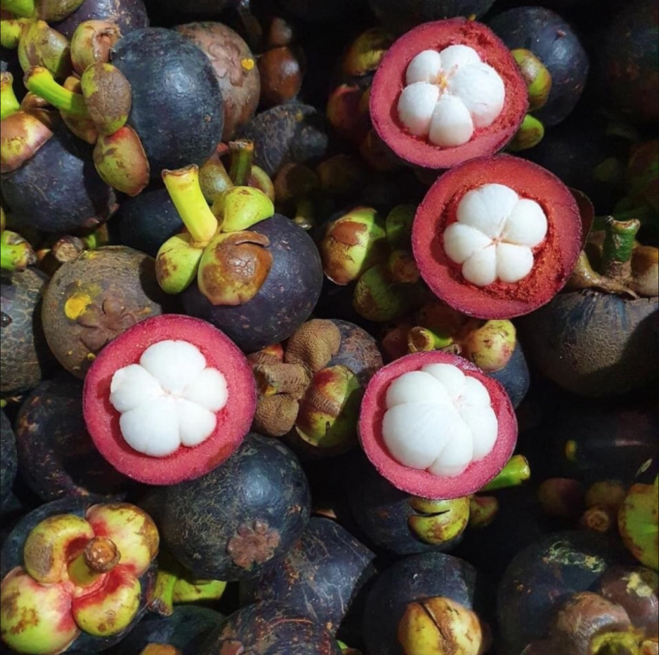 Cách làm trà măng cụt hoa đậu biếc chua ngọt, uống ngon mà chụp ảnh cũng đẹp - Ảnh 1