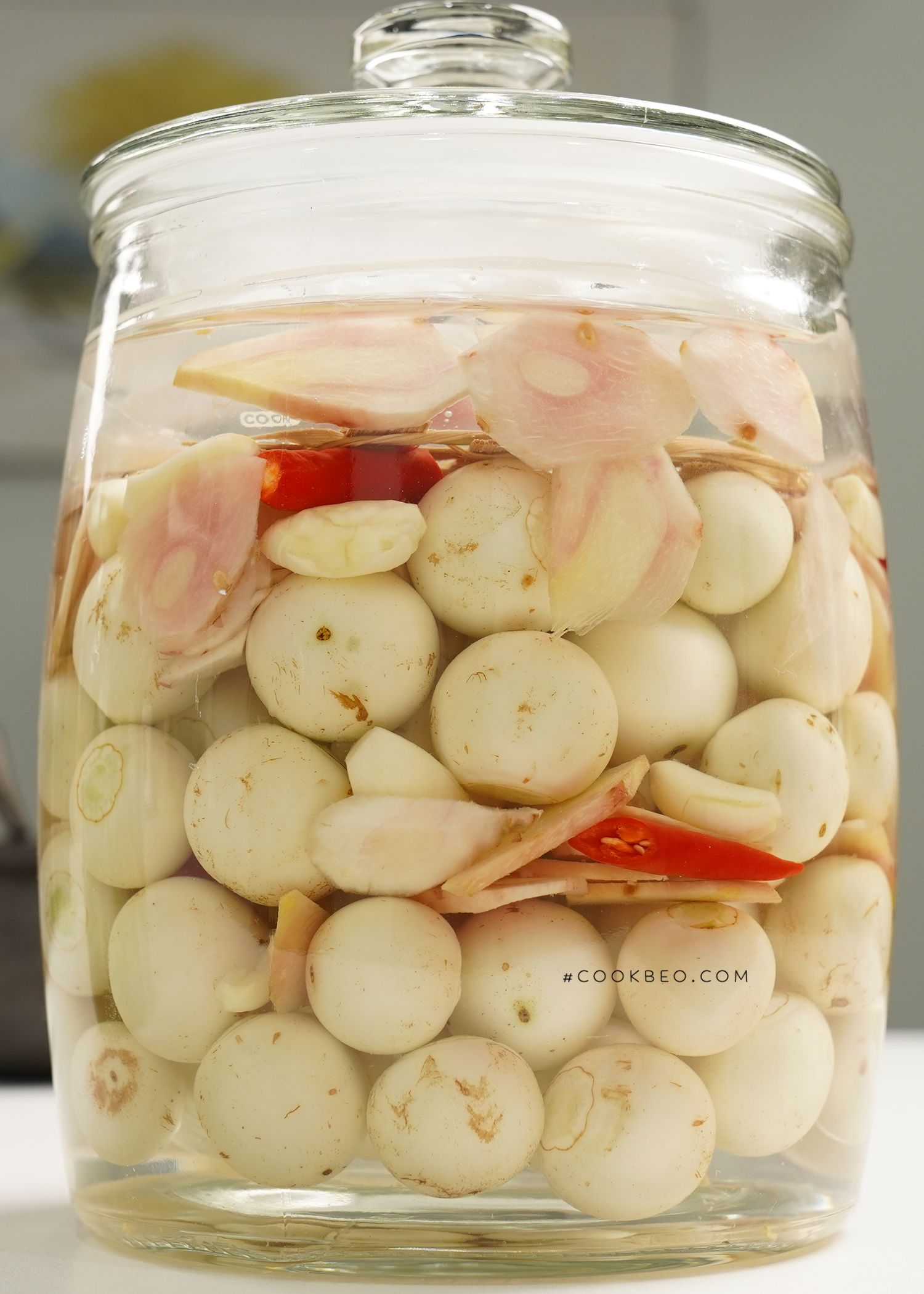 Cách làm gỏi thịt bò cà pháo giòn ngon, nhậu lai rai hay ăn khai vị đều hết ý - Ảnh 1