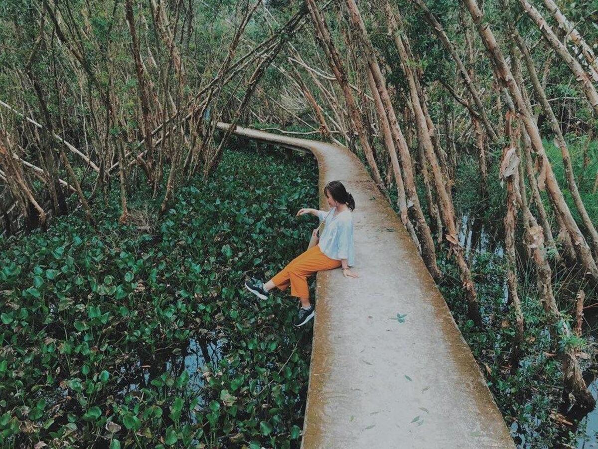 3 rừng tràm đẹp ở miền Tây, cứ đến mùa nước nổi là “mê quên lối về”