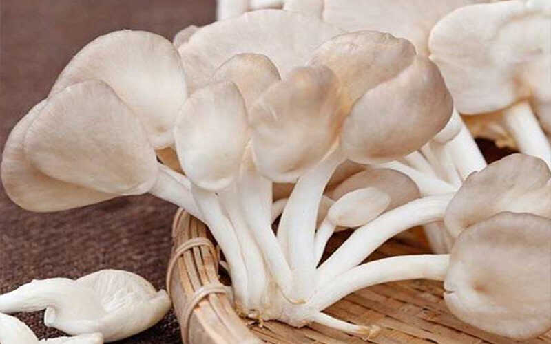 Cách làm chả nấm bào ngư sả ớt, ăn mặn hay ăn chay đều hợp - Ảnh 1