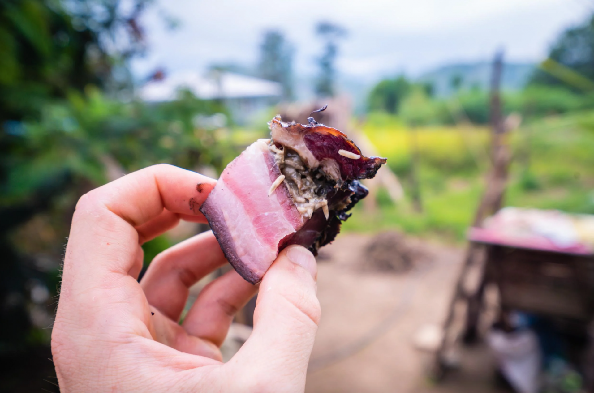 5 món đặc sản châu Á là món khoái khẩu của người này nhưng cũng khiến khối người khác phải khiếp sợ - Ảnh 1