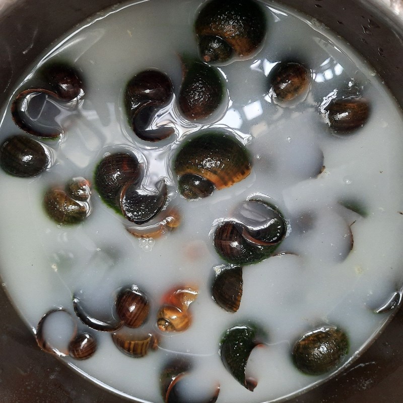 3 mẹo ngâm ốc nhả sạch bùn đất, luộc lên thơm ngon, không lo bị tanh - Ảnh 5