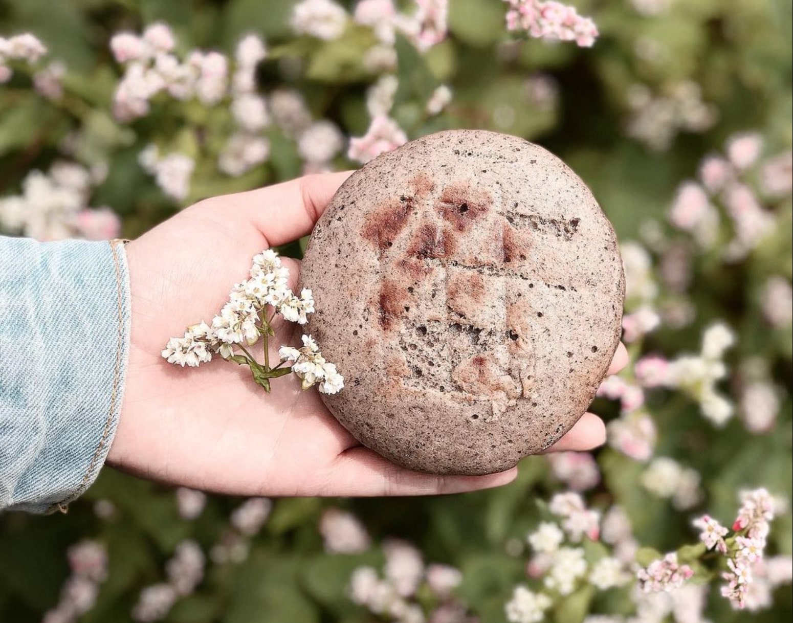 6 món đặc sản Hà Giang vừa ngon vừa bổ, không đâu có