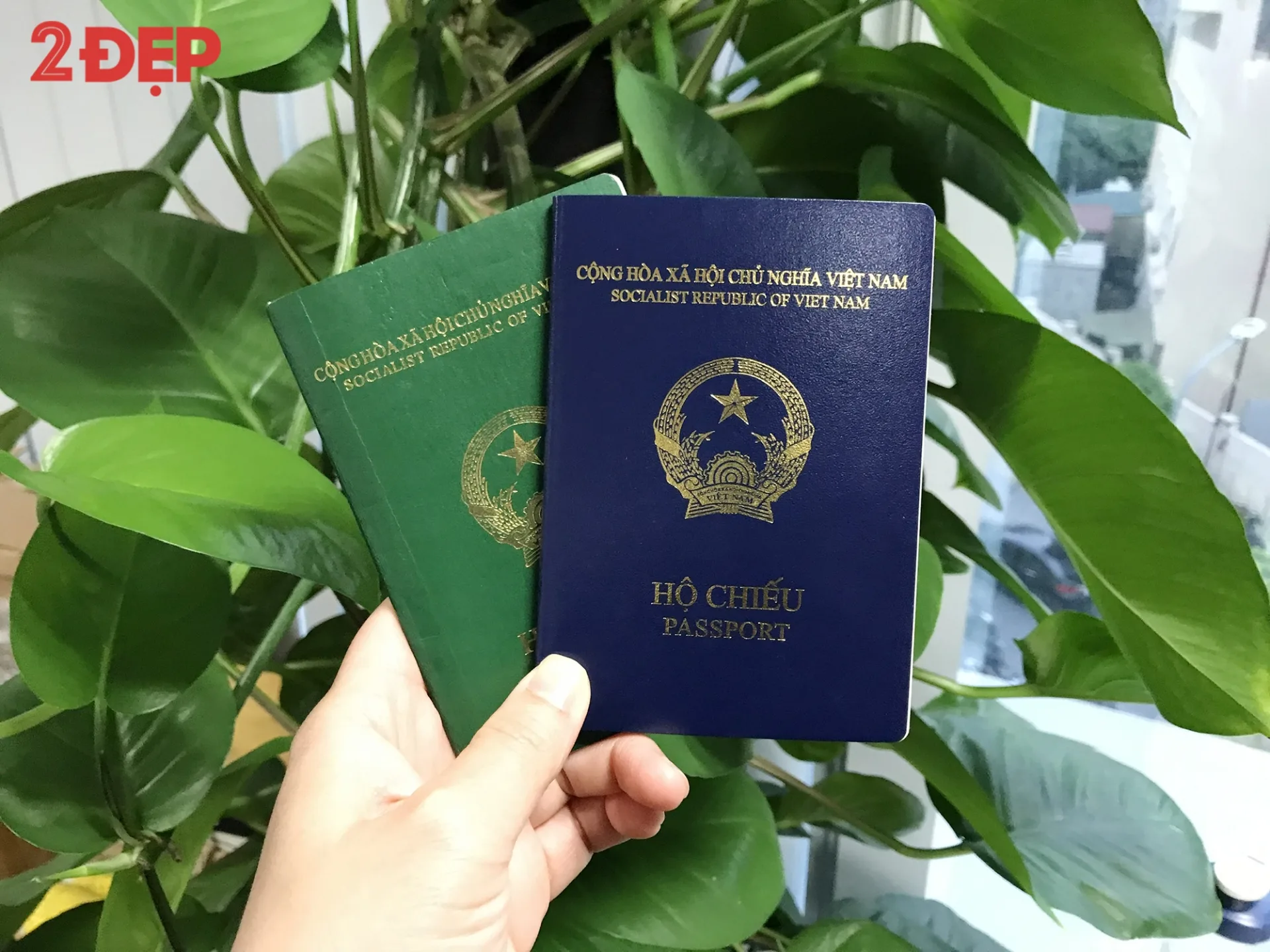 Cách đổi hộ chiếu nhanh ở trần phú - Ảnh 1