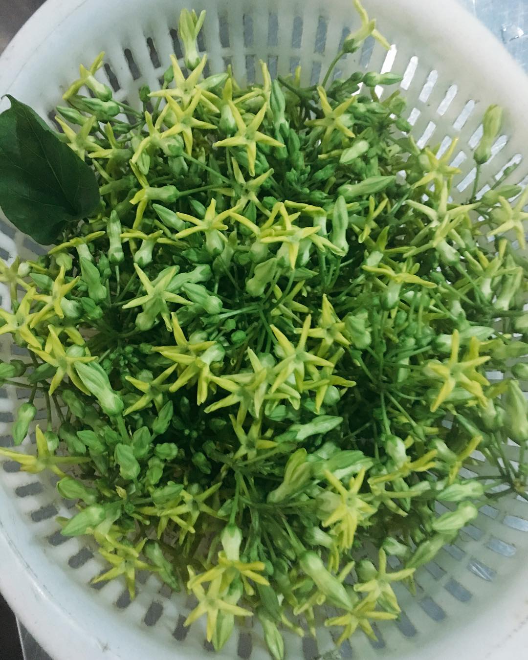 Cách làm canh hoa thiên lý nấu tôm, chỉ 15 phút là có món canh ngọt thanh, bổ dưỡng - Ảnh 1