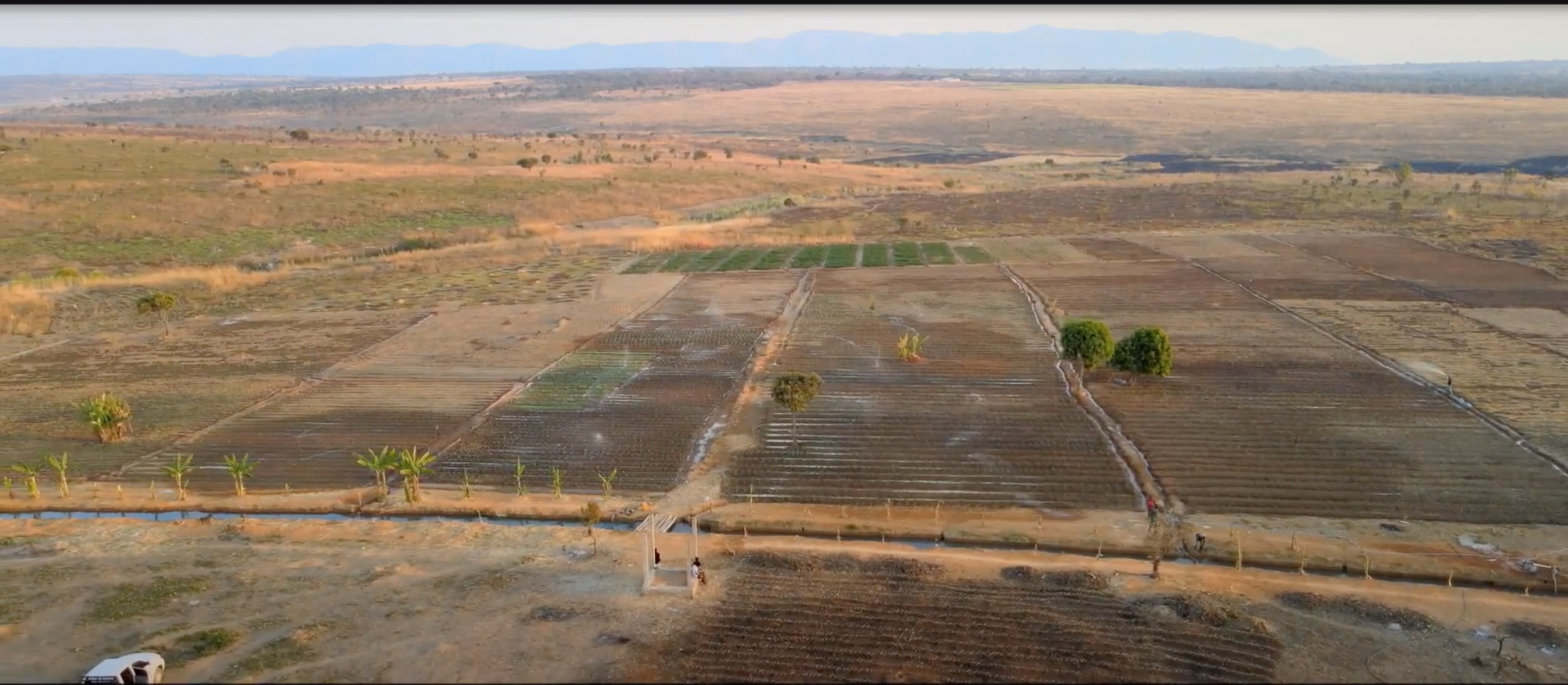 Quang Linh Vlogs cải tạo lại mảnh đất trống cả chục hecta sau 2 tháng canh tác tại Angola  - Ảnh 1