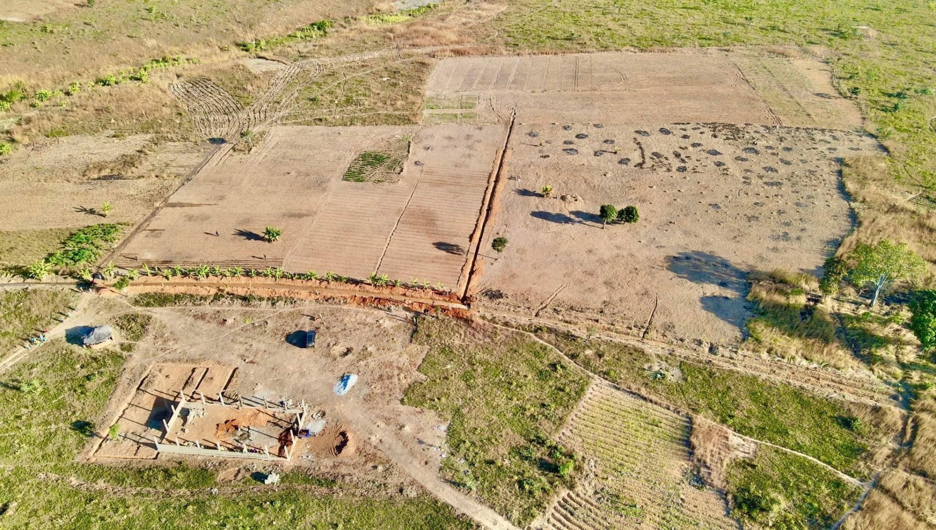 Quang Linh Vlogs cải tạo lại mảnh đất trống cả chục ha sau 2 tháng canh tác tại Angola  - Ảnh 1