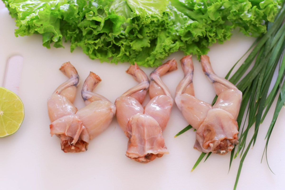Mẹo chọn và sơ chế ếch “siêu tốc”, thoải mái chế biến mà không lo bị tanh - Ảnh 1