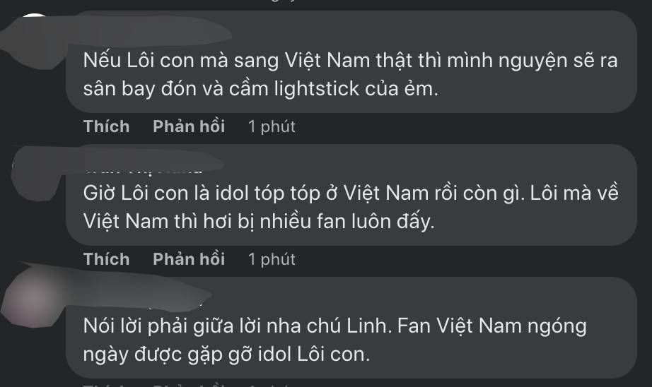 Quang Linh Vlogs bật mí kế hoạch đưa “idol tóp tóp” Lôi con về chơi Việt Nam trước Tết này - Ảnh 3