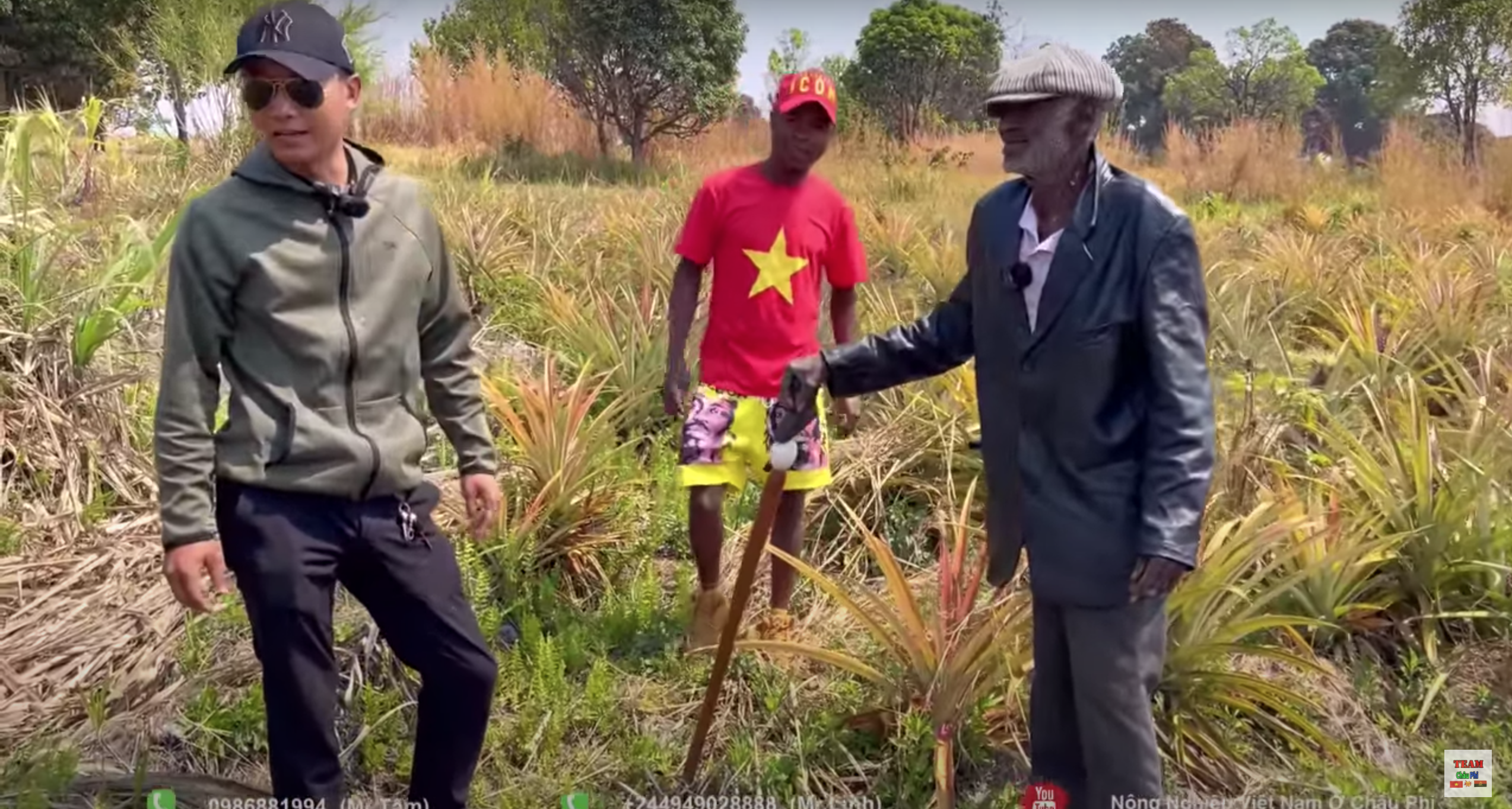 Quang Linh Vlogs mua cả vườn mía về làm cây giống cho trang trại... dứa