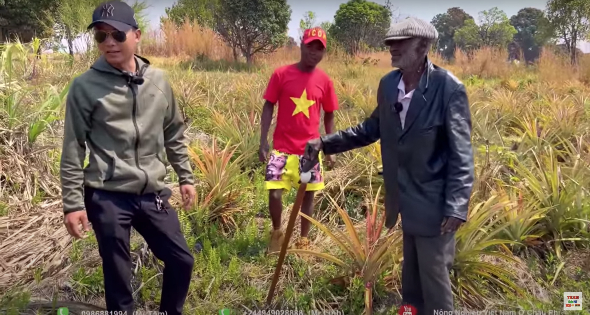 Quang Linh Vlogs mua 14ha làm trang trại, nhưng lại gọi nhầm cây dứa thành… cây mía - Ảnh 1