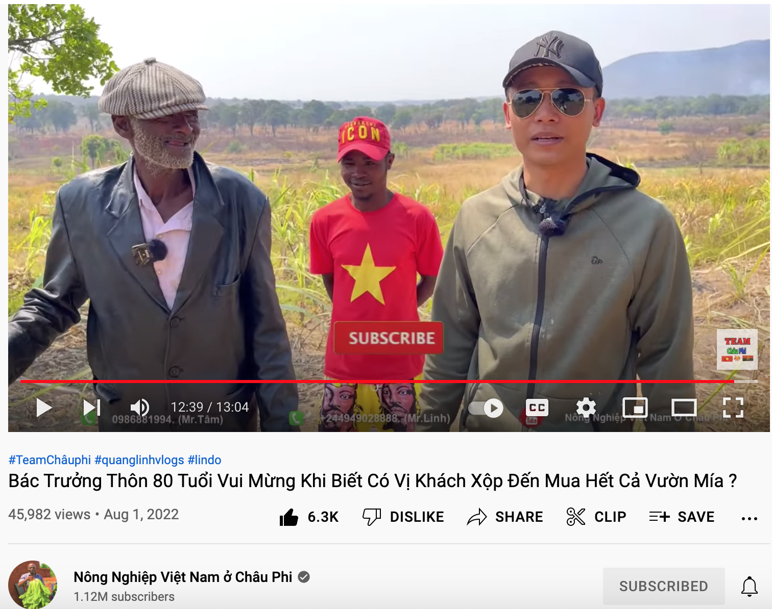 Quang Linh Vlogs mua 14ha làm trang trại, nhưng lại gọi nhầm cây dứa thành… cây mía - Ảnh 1
