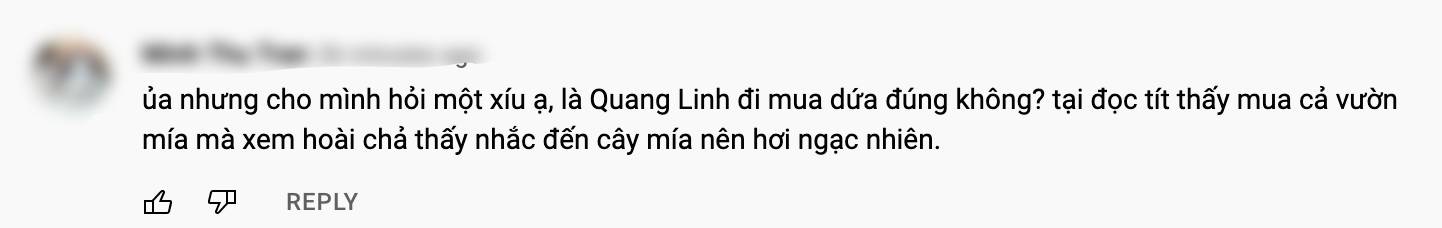 Quang Linh Vlogs mua 14ha làm trang trại, nhưng lại gọi nhầm cây dứa thành… cây mía - Ảnh 1