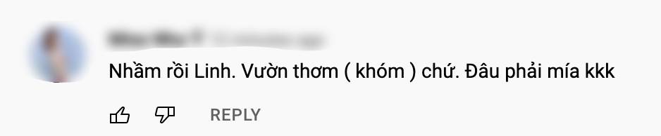 Quang Linh Vlogs mua 14ha làm trang trại, nhưng lại gọi nhầm cây dứa thành… cây mía - Ảnh 2