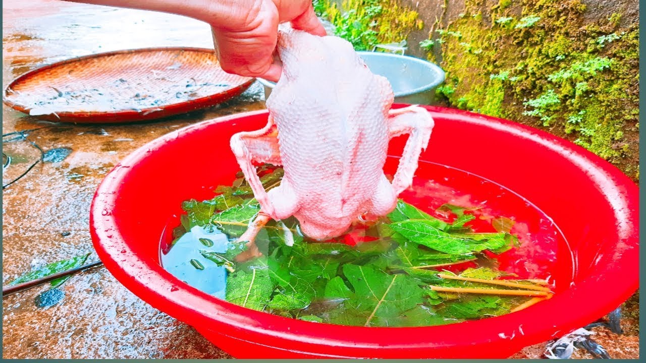 Mẹo chọn vịt và làm sạch lông vịt siêu tốc, giúp bạn nhanh chóng có vịt ngon chế biến - Ảnh 1