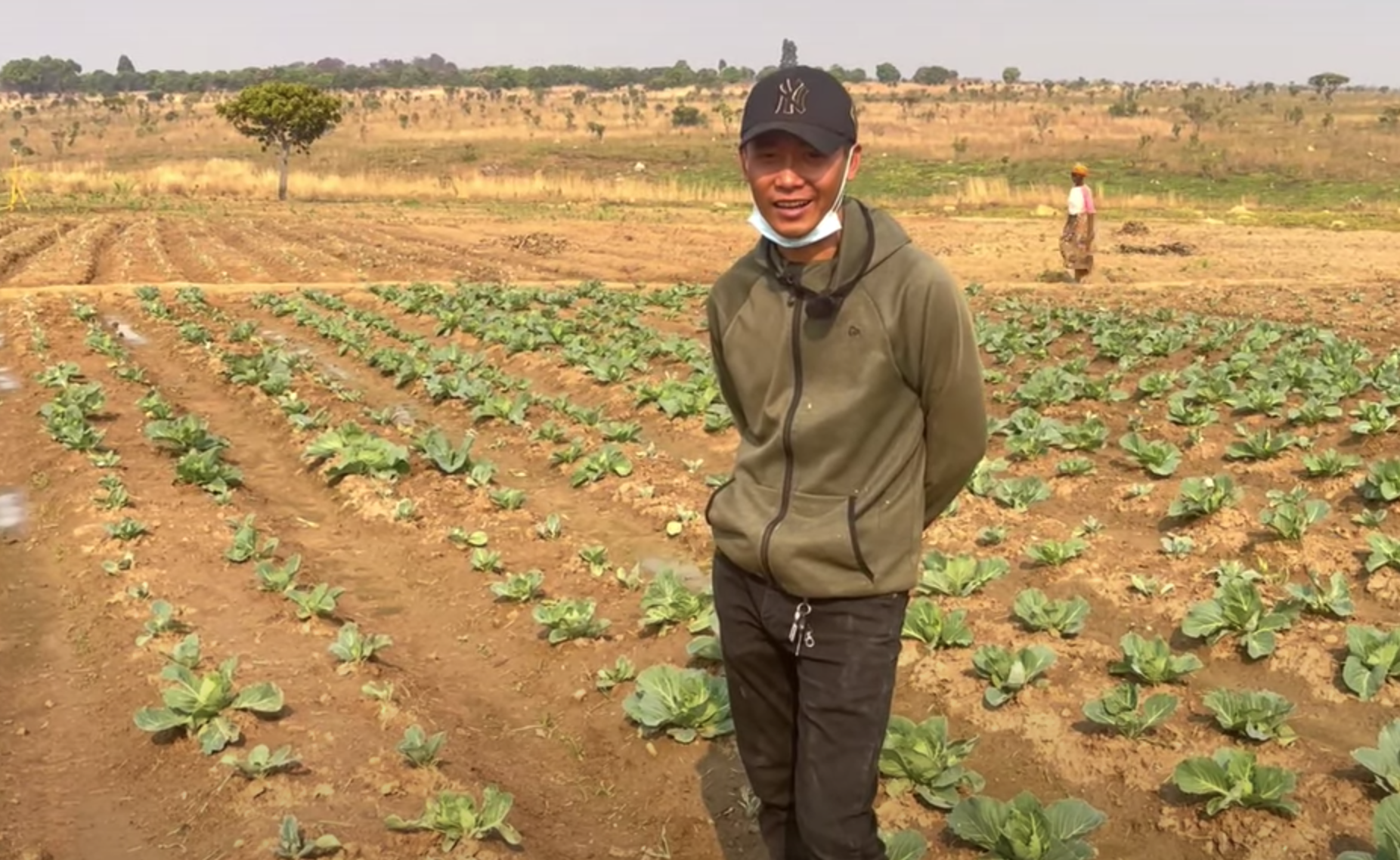 Quang Linh Vlogs ngày làm anh nông dân bận rộn, tối hoá nhân viên văn phòng chỉnh video - Ảnh 1