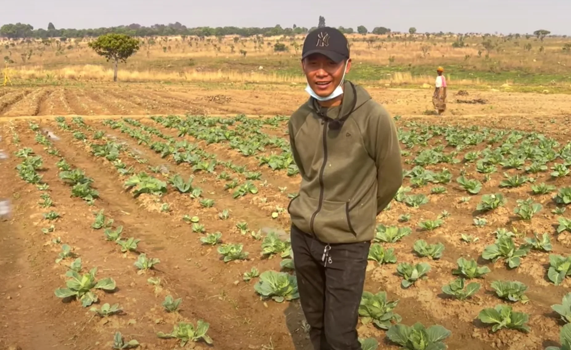 Quang Linh Vlogs ngày làm anh nông dân bận rộn, tối hoá nhân viên văn phòng chỉnh video - Ảnh 1