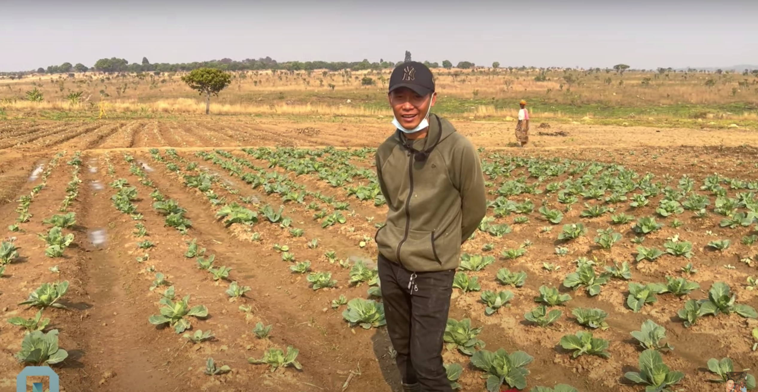 Quang Linh Vlogs ngày làm nông dân, tối làm anh nhân viên văn phòng