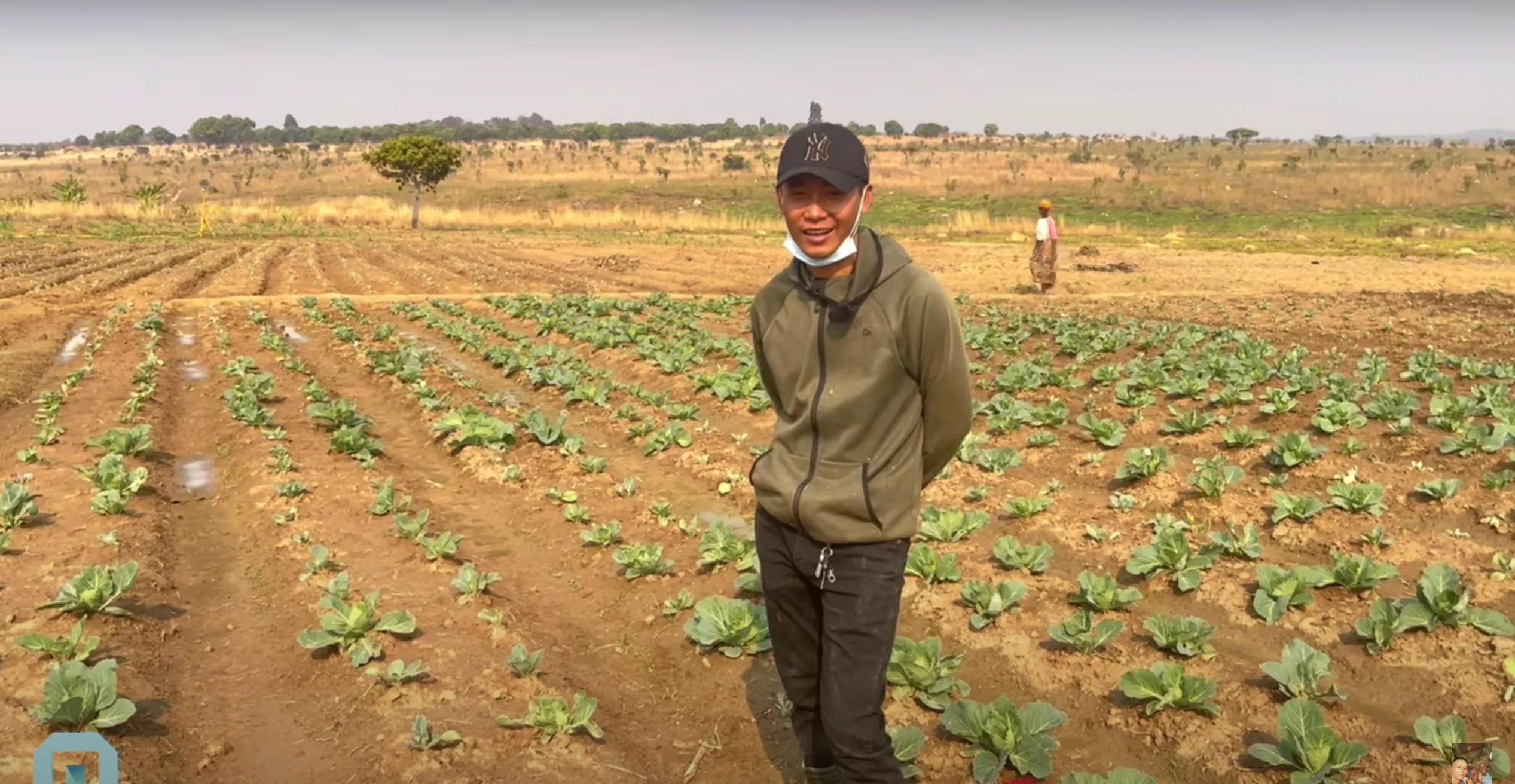 Quang Linh Vlogs ngày làm nông dân, tối làm anh nhân viên văn phòng