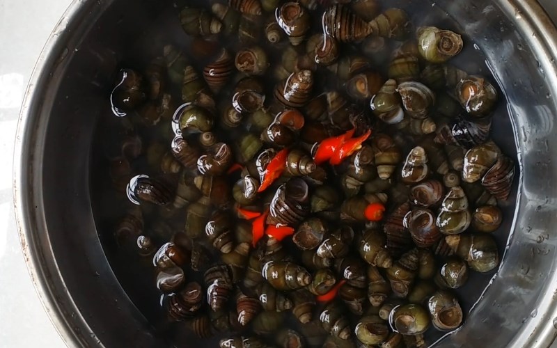 Mẹo khử sạch mùi tanh hải sản đơn giản, an toàn và dễ dàng thực hiện tại nhà - Ảnh 1