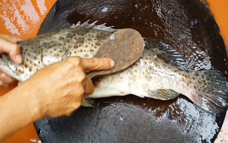 Mẹo khử sạch mùi tanh hải sản đơn giản, an toàn và dễ dàng thực hiện tại nhà - Ảnh 1