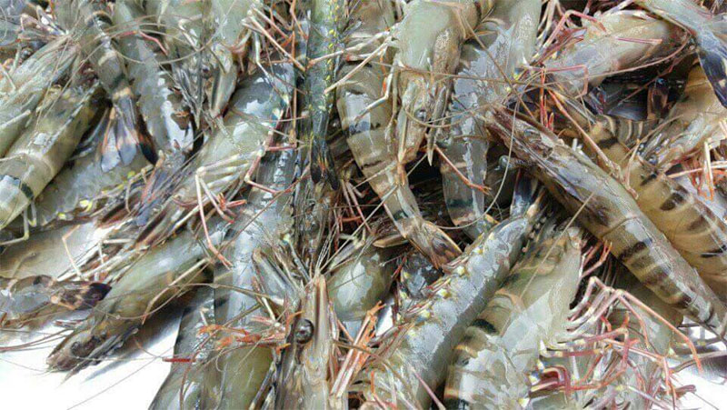 Cách làm tôm trộn chanh sả, chỉ 15 phút là có ngay món khai vị giải ngán - Ảnh 5