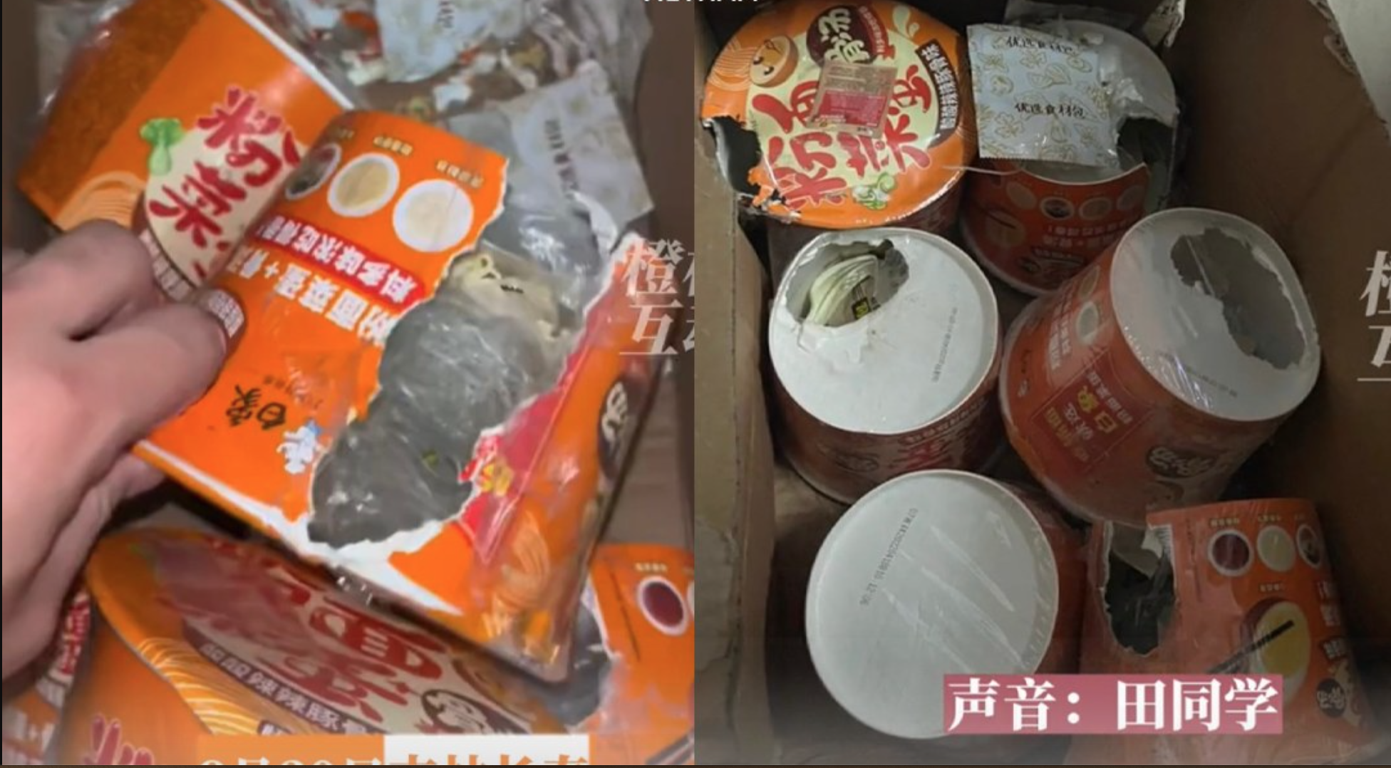 Nam sinh viên bị chuột trộm toàn bộ gia sản, hiện trường gây tranh cãi lớn