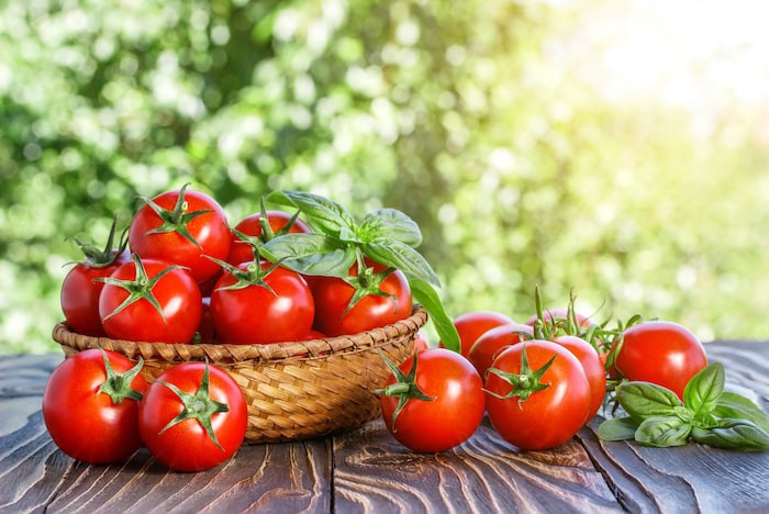 Mã Tư Thuần bỏ bữa tối và chỉ ăn cà chua khi thấy đói để giảm cân.