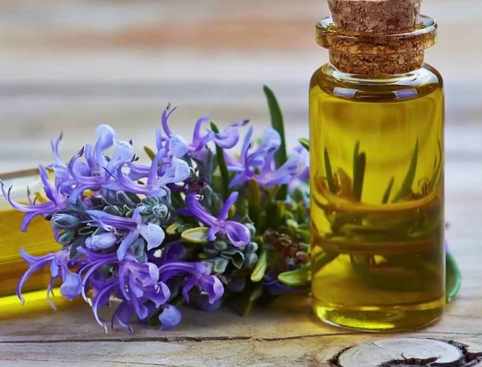 Dầu hương thảo có tốt cho tóc không? Cách sử dụng như thế nào?