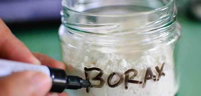Borax giúp tẩy tế bào chết trên da.