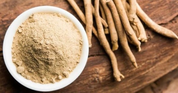 15 loại thảo mộc chống lão hóa tốt nhất cho làn da tươi trẻ (P2)