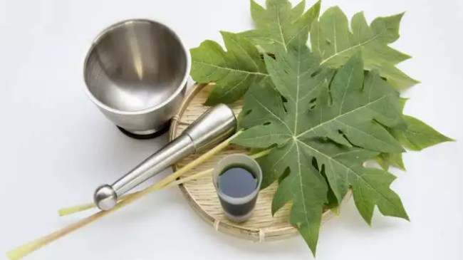 8 công dụng hấp dẫn của nước ép lá đu đủ đối với làn da và sức khỏe