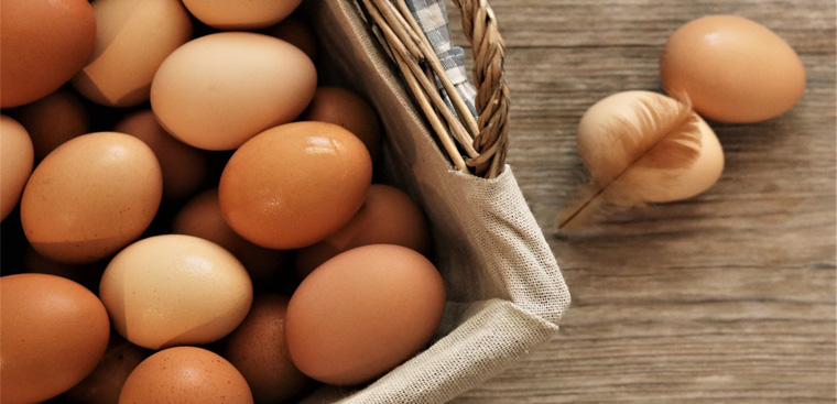 Cách trị mụn cám hiệu quả là dùng trứng gà.