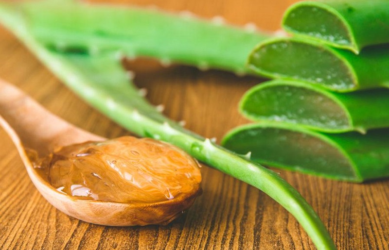 7 Cách trị mụn bằng nha đam đơn giản tại nhà