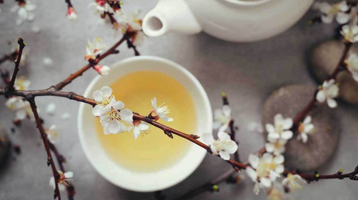 Uống trà trắng sẽ giúp bạn có mái tóc và làn da đẹp hơn