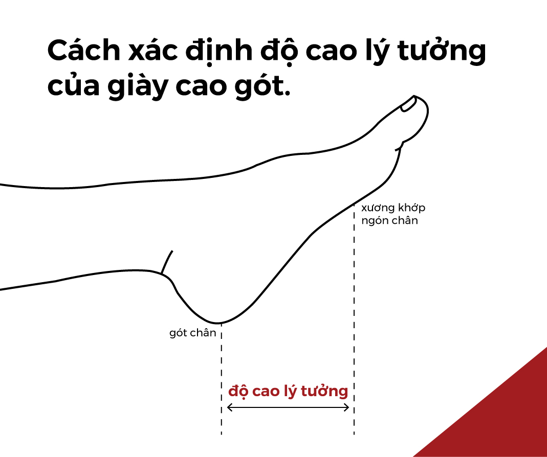 Chiều dài từ gót chân đến xương khớp ngón chân sẽ là chiều cao lý tưởng để bạn lựa chọn giày đi tiệc