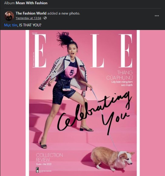 The Fashion World đăng một dòng trạng thái như 'hất nước' vào mặt đội ngũ sáng tạo của Elle Việt Nam.
