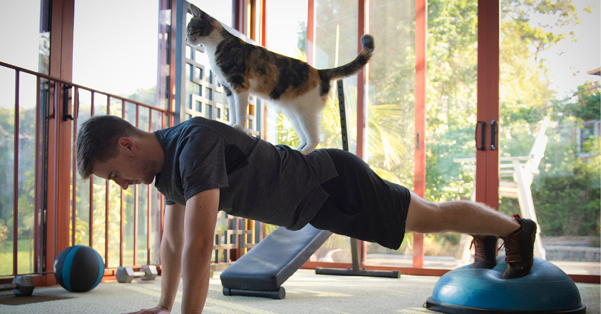 4 bài tập thể dục tại nhà giúp bạn sống qua thời kỳ phòng gym đóng cửa