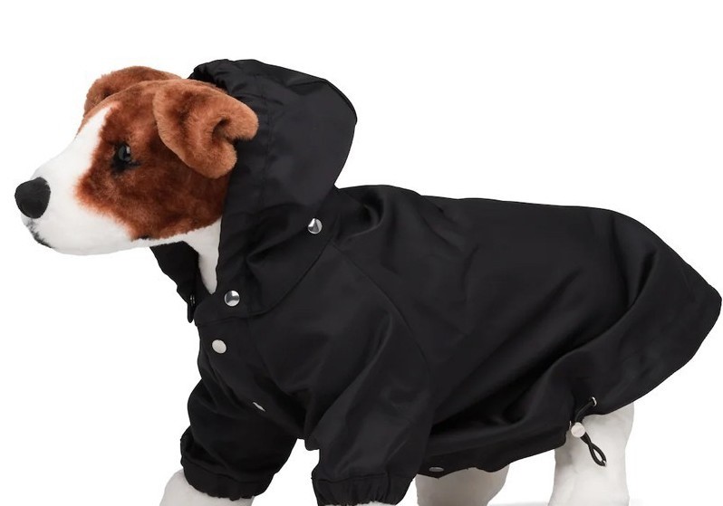 Prada ra mắt áo mưa cho cún cưng có giá gần 12 triệu đồng 