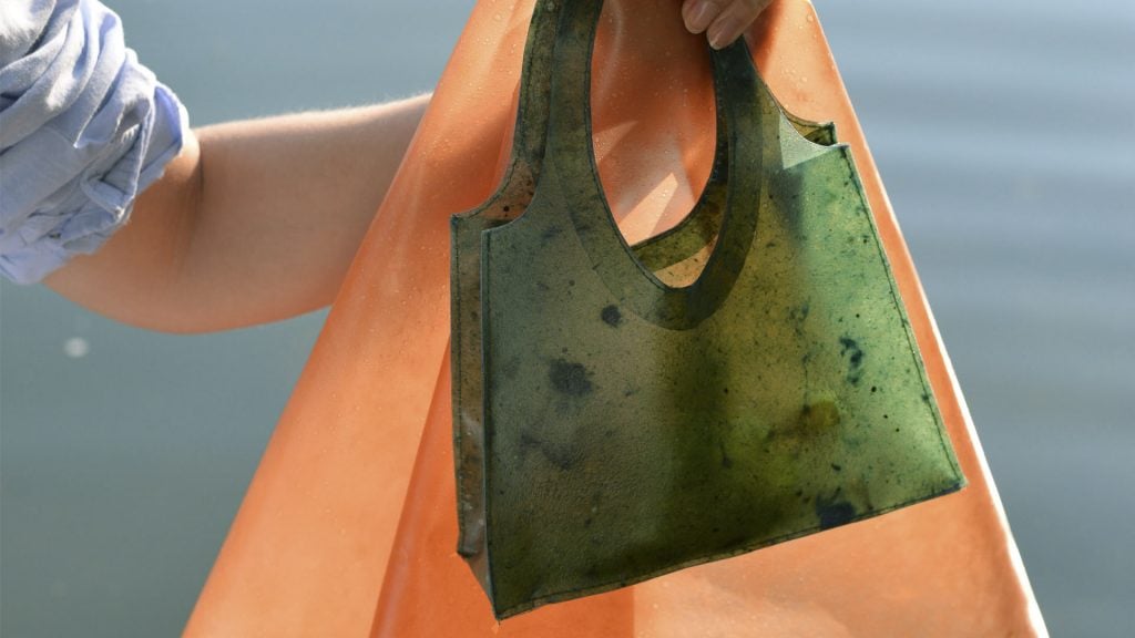 Đây là những chiếc túi xách được làm từ vỏ trái cây và có thể dùng để bón phân khi hết giá trị sử dụng