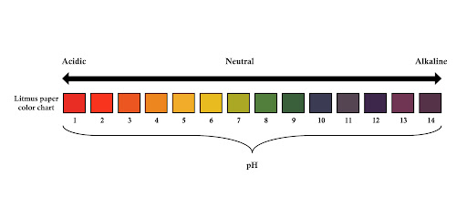 Thang đo pH chuẩn cho từng sản phẩm dưỡng da.