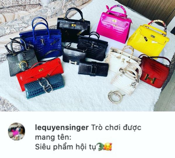 Bên cạnh chiếc túi Hermès đắt đỏ, Lệ Quyên cũng sở hữu rất nhiều mẫu túi hàng hiệu khác. Cô quả thực là tay chơi hàng hiệu khét tiếng của showbiz Việt.