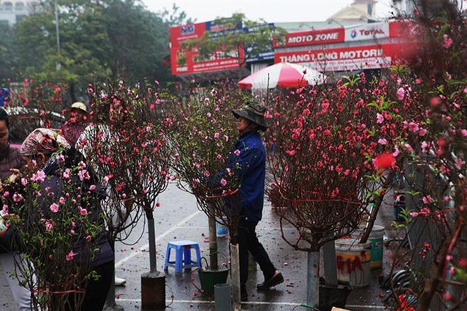 Giáp Tết Tân Sửu, miền Bắc đón đợt mưa lớn