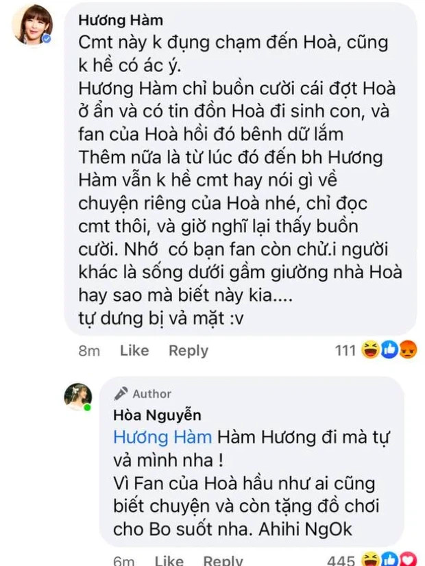 Bình luận của Hàm Hương khiến nhiều người bức xúc