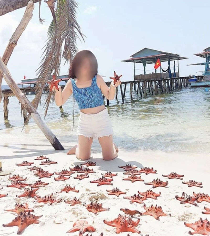 Hình ảnh du khách lấy sao biển làm công cụ sống ảo khiến cộng đồng mạng ngao ngán