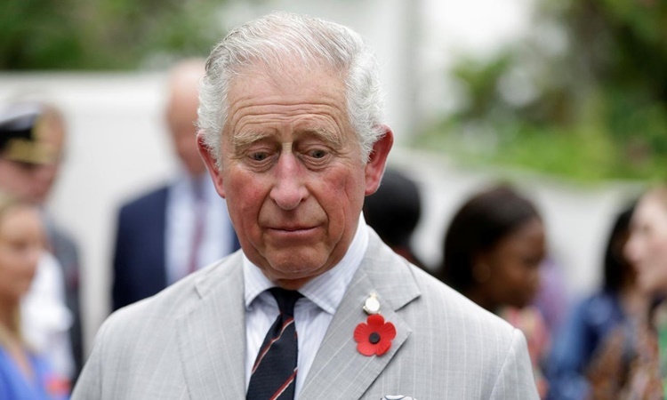 Trong báo cáo mới đây của Thái tử Charles, ông đã hỗ trợ cho gia đình Hoàng tử William và Harry số tiền là 4,45 triệu bảng (hơn 6,2 triệu USD)