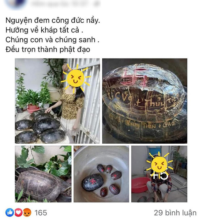 Hình ảnh khắc chữ lên mai rùa được đăng tải trên trang cá nhân của mẹ Thủy Tiên khiến cư dân mạng phản ứng gay gắt